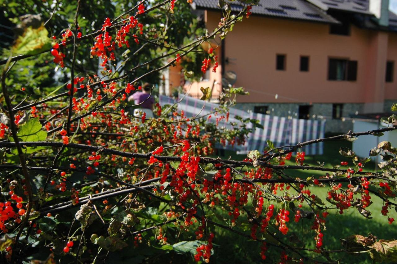 Plitvice Rooms Family Glumac Plitvička Jezera Εξωτερικό φωτογραφία